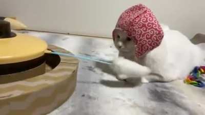 Well, at least the toy is working