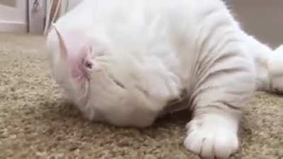 "No, I'm sleeping."