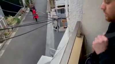 Electrical Wires. (It&rsquo;s fake)