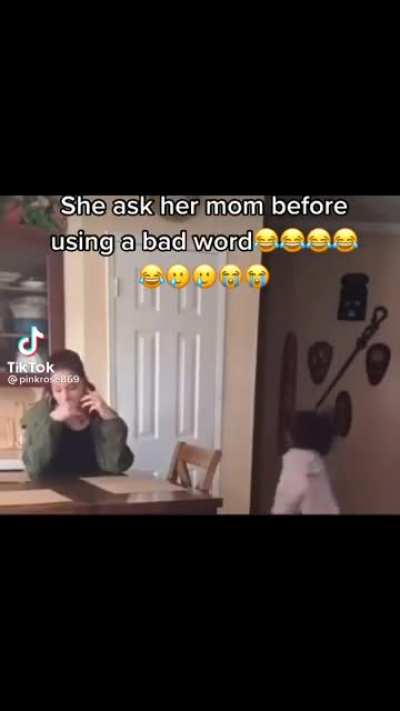badword.mp3 (ctto)