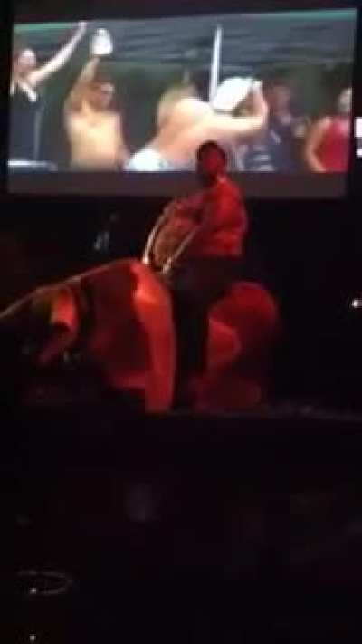[x-post /r/KillTheCameraMan] HMC while i ride this bull real quick