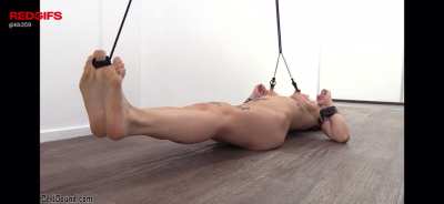 Keep your submissive&rsquo;s fit.