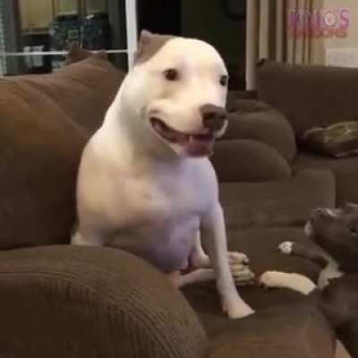 Awwwww look he&rsquo;s smiling 🥰 (Minor Jumpscare/Earrape Warning)