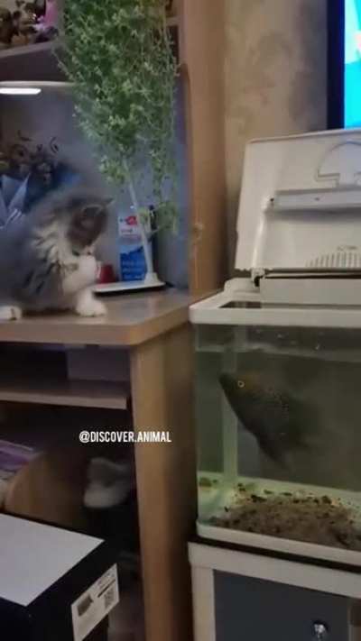 billy looks tasty