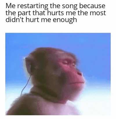 Life in a nutshell
