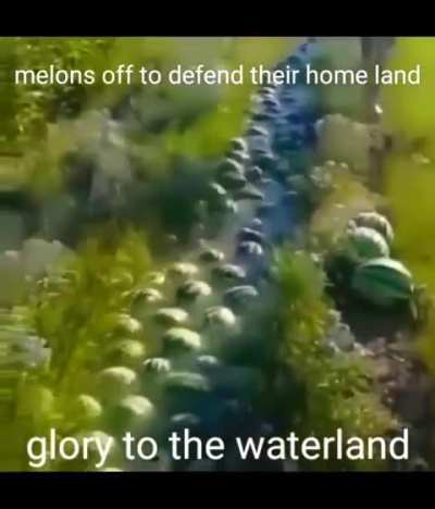 GLORY TO WATERLAND 