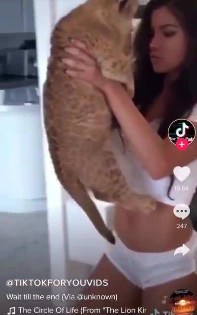 A Lion King reenactment