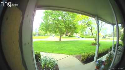 Close call, almost ran over in own yard.  Tree saved the house. 