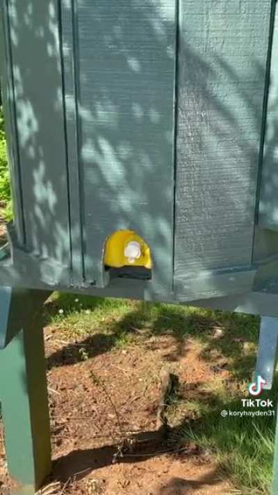 A hidden danger on the course.