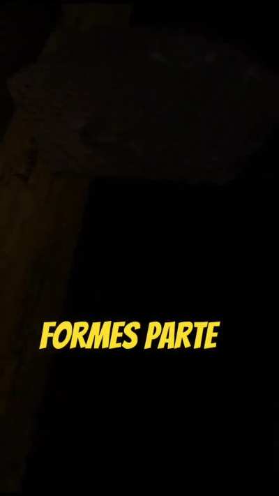 Estoy haciendo un juego de terror sobre crímenes reales en Argentina y podés aparecer en él