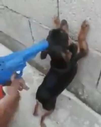 Enca&ntilde;onaron a mi pana