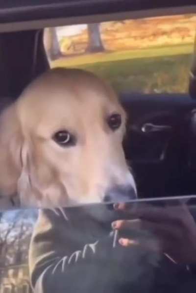 What a cute doggy