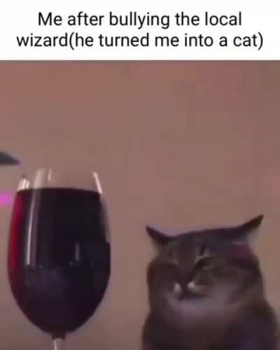 Oh no