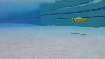 I was told you guys might like my 3D Printed RC Cyclops Submarine