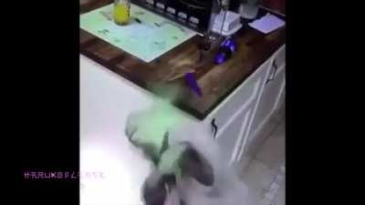 Possibly my favourite video to date