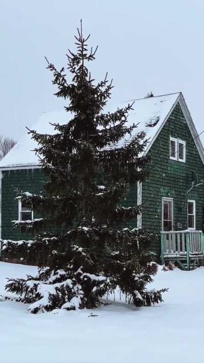 Spring in Nova Scotia