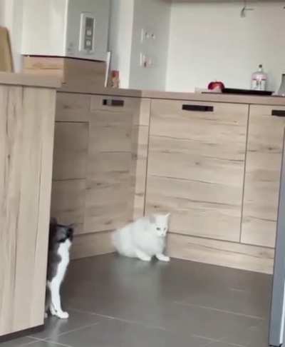 They really ARE liquid