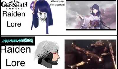 Posting this here before posting in the r/Raidenmains sub for genshin 