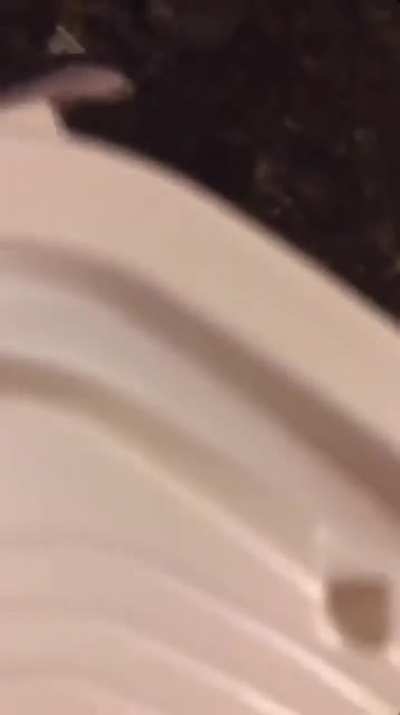 This guys profile is full of this