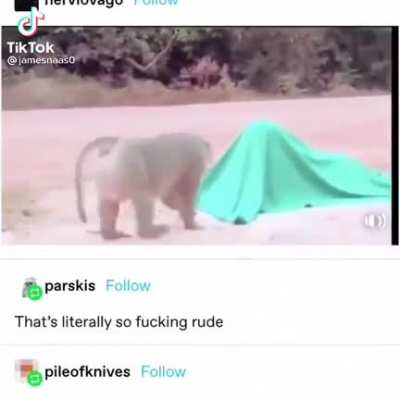 &AElig;