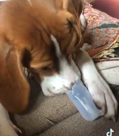 SOUND ON!