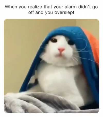 "Wait, I shouldn't feel this relaxed..."