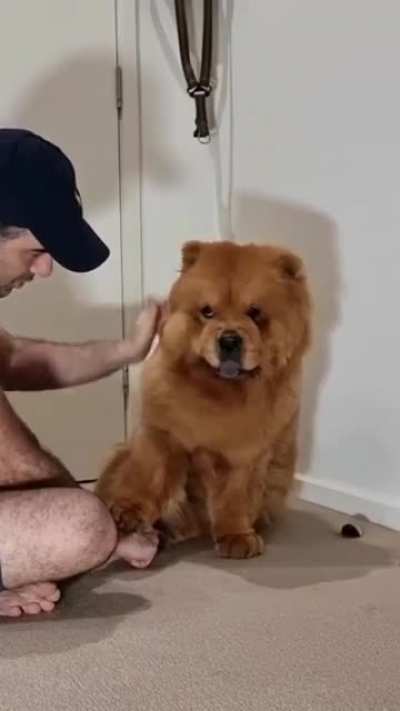 Put her down