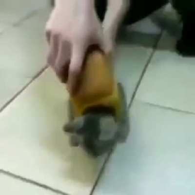 gatopan