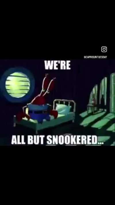 Briish speegee