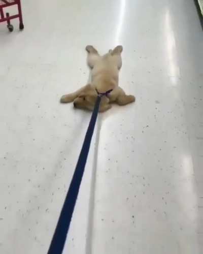 Fine...I&rsquo;ll Just Take A Nap