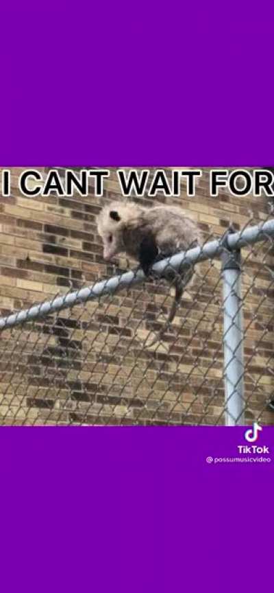 5 nights at Opossum&rsquo;s