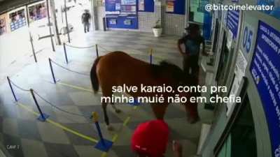 Em qual você investiu, Muquinha?