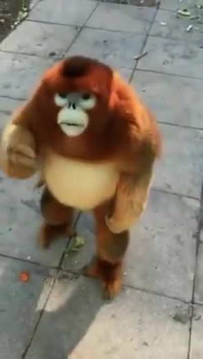 Gente a&ntilde;adieron un nuevo mono