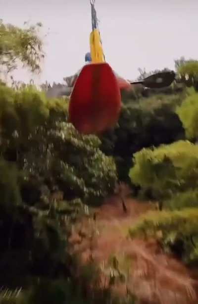 ThisLooksFun