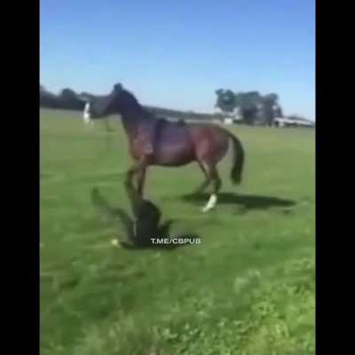 HMFT after I get kicked into another dimension