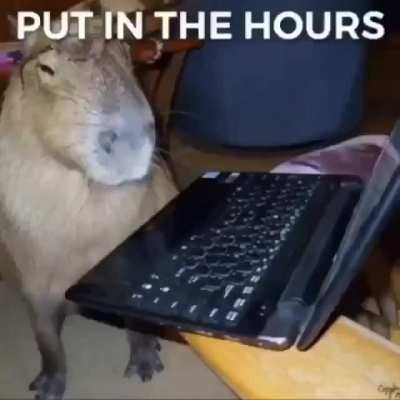 Hmm?