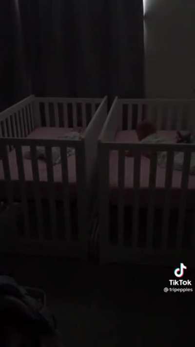 Little babies creat havoc