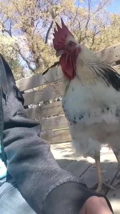 "Excuse me? Did I say you were done?"