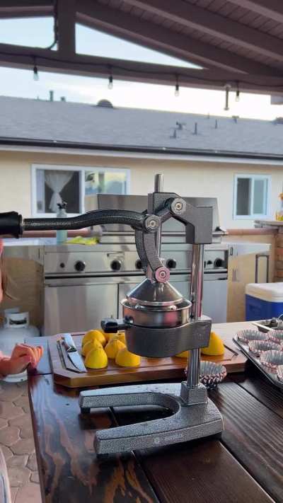 Perfect juicer &mdash; but the user&rsquo;s brain seems to be missing.