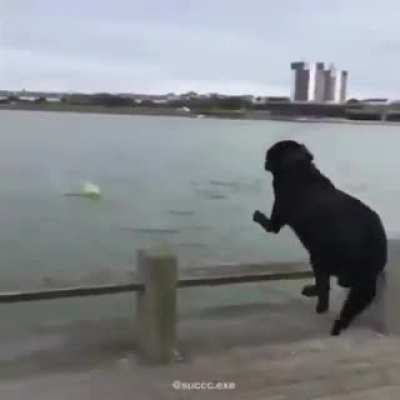 Tobia Sad boi.. fé em deus