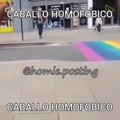 los animales entienden todo