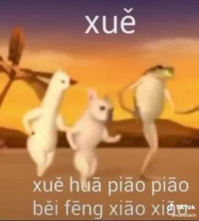 Xuē xuan xun