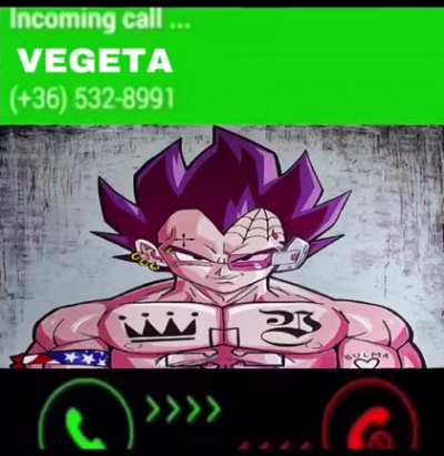 vegeta gang