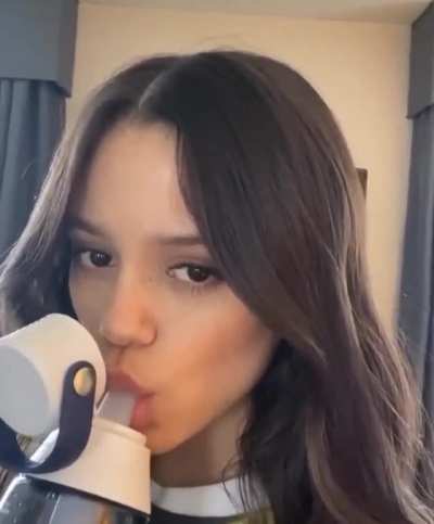 Sipping