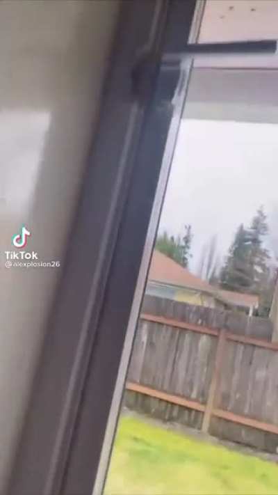 Zeus is mad