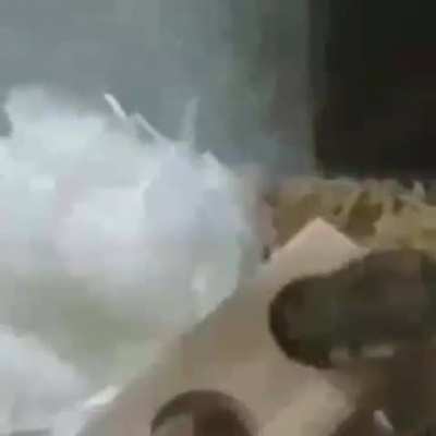 HAMSTI FLIP