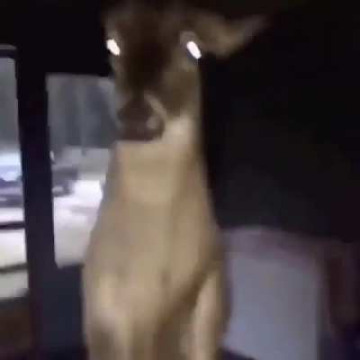 Awwwwwwww
