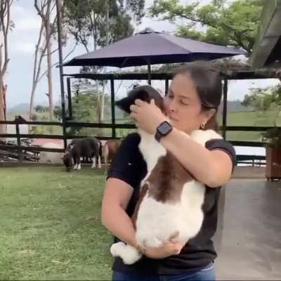 Please enjoy this video of a baby horse being cuddled. It&rsquo;s something you never knew you needed to see.