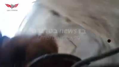 K9 Neutralizes a Terrorist that Threw an Explosive on Soldiers and then Went into Hiding