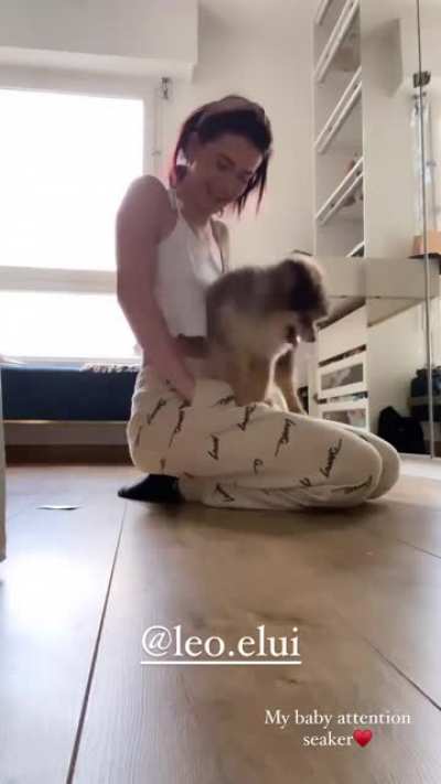 Cutie